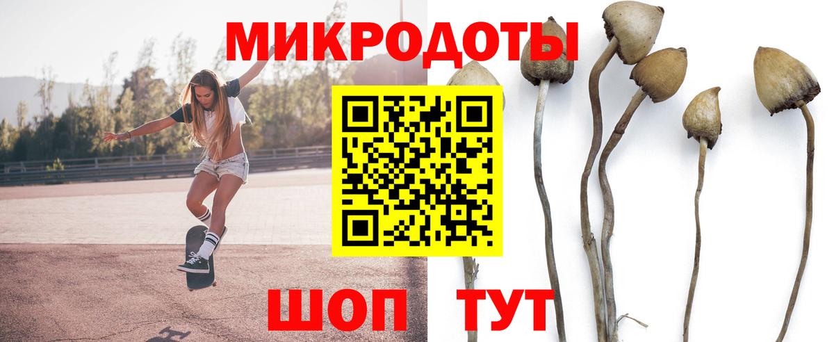 Симферополь  как найти   Вход с VPN  Псилоцибиновые грибы прущие грибы  Галлюциногенные грибы Cubensis 